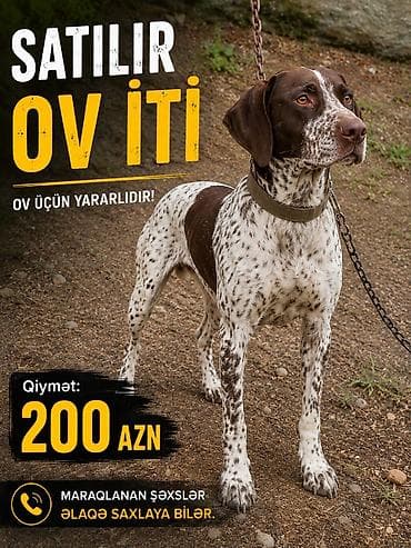 100 l akvarium: Salam ov Tulasi satılır istəyən olsa əlaqə saxlasın dəyərindən aşağı — 1