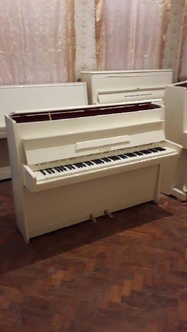 yamaha piano qiymeti: Pianino PETROF Cexya stehsalı. Cadırılma və köklənmə qiymətə Daxildi — 1