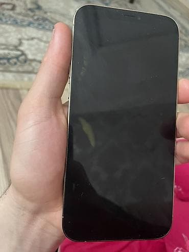 ipad mini 5 satilir: IPhone 12 Pro Max, 128 GB, Qızılı, Face ID — 3