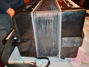 Gitaralar: Akustik Akkordeon, İşlənmiş, Ünvandan götürmə — 7