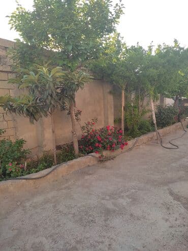 ehmedlide torpaq: 3 sot, Tikinti, Mülkiyyətçi, Kupça (Çıxarış) — 4