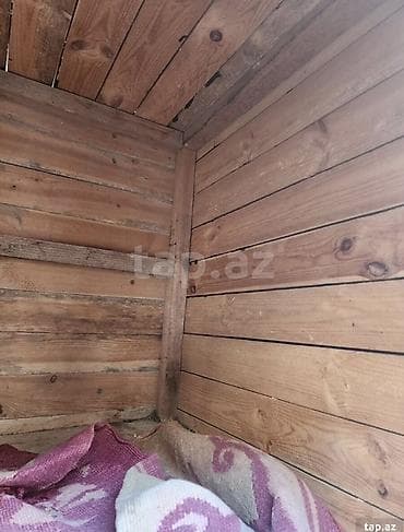 it yeri: İt yuvası – orta və kiçik ölçülü itlər üçün - Material: qalın taxta — 5
