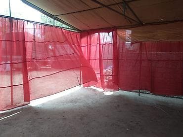8 mart əl işi: Təcili satılır: Paketka üçün tam dəst - 250 nəfərlik tədbir qurğusu - — 2
