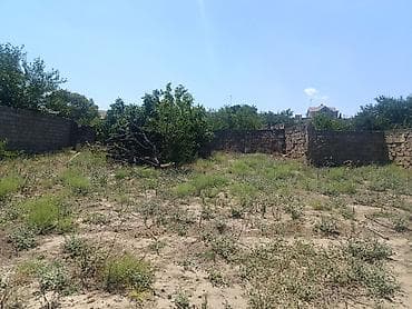 mehemmedli: Tikinti — 2