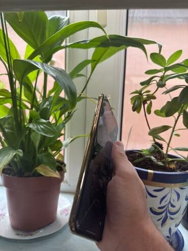 Mətbəx texnikası: IPhone Xs Max, 64 GB, Qızılı, Face ID — 6