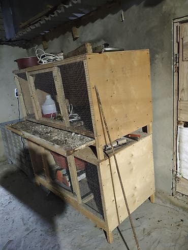 qəfəslər: İki mərtəbəli taxta qəfəs – quş və ya kiçik heyvan saxlanışı üçün - — 4