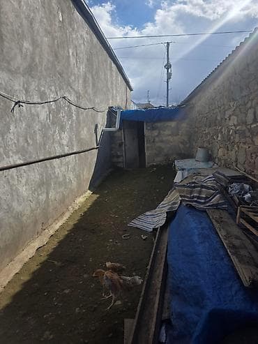 ag seher evler: 18 kv. m, 5 otaqlı, Qaz — 6