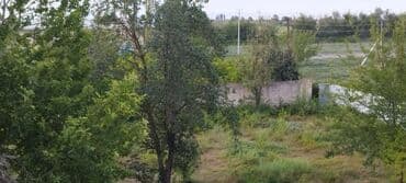 ucar: 30 sot, Biznes üçün, Mülkiyyətçi, Kupça (Çıxarış) — 10