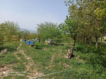 evlər: 4 otaqlı, 50 kv. m, Kredit yoxdur, Yeni təmirli — 10