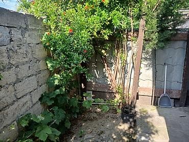 kirditle evler: 38 kv. m, 2 otaqlı, Qaz — 10