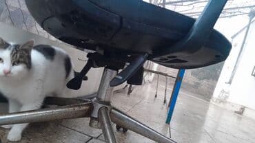 Chery: Təkərli, Qolları tənzimlənmir — 2