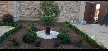 ot toxumu satışı: Qazon çatrlma qurasdrma torf gubresi dermanlanmasi agaclarin ekini — 8