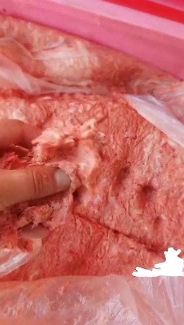 kfc elaqe nomresi: Məhsul Dondurulmuş toyuq sümükləri və farş heyvan sevenler ucun — 3