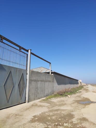 250 sot, Maklerlər narahat etməsin, Kupça (Çıxarış)