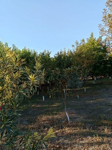 фотостудия советская квартира: Satılır: bağ sahəsi və yaşayış evi - Tikinti: qala-daşı divarlar — 3