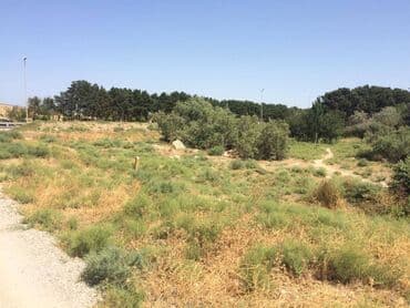 binə qəsəbəsi: 45 sot, Tikinti, Makler, Kupça (Çıxarış) — 5