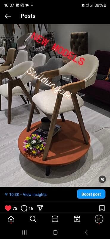 Bitkilər: Qonaq otağı üçün, Qatlanmayan, Stul — 5