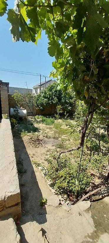 umid qəsəbəsi: Kupça (Çıxarış) — 4
