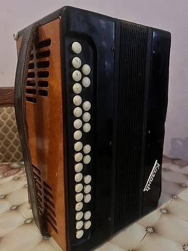 Аккордеоны: Акустический Аккордеон, Бесплатная доставка — 2