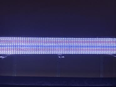Akvaryum üçün LED işıq paneli - Geniş ölçülü, çox sıralı LED-lərlə