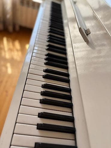 mustuk: Piano, Belarus, Akustik, İşlənmiş, Ünvandan götürmə — 2