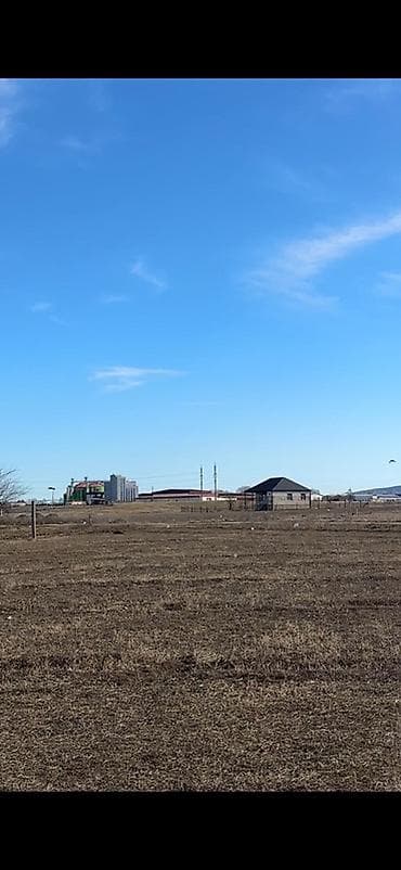 8 sot, Tikinti, Mülkiyyətçi, Kupça (Çıxarış)