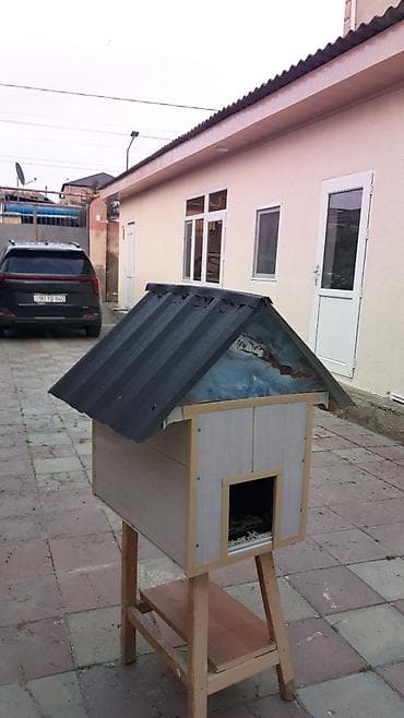 Yuvalar: Məhsul: Açıq havada istifadə üçün pişik evi Təsvir: Qapalı pişik evi — 3