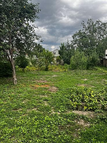 qax ilisu ev satilir: 3 sot, Tikinti, Maklerlər narahat etməsin, Kupça (Çıxarış) — 2
