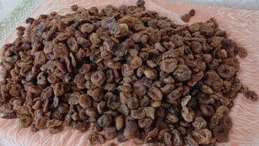 əncir qurusu: Məhsul: Qurudulmuş əncir Təsvir: - Təbii yolla qurudulmuş, bütöv — 1