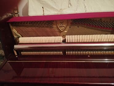 ZAZ: Piano, Petrof, Akustik — 3