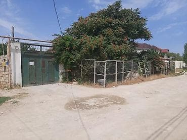 goycayda evler: - Geniş, daşla döşənmiş həyət: yaşıl ağaclar, gül kolları, hasarlı — 3