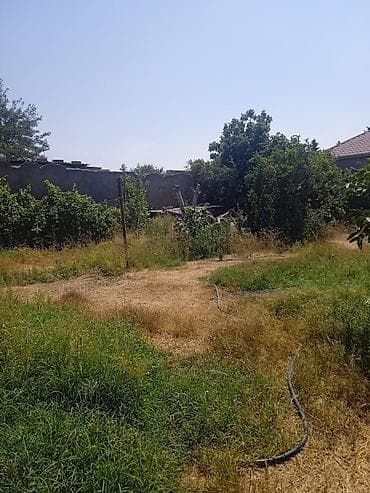 Mənzillər: 4 sot, Tikinti, Maklerlər narahat etməsin, Kupça (Çıxarış), Texniki pasport — 7