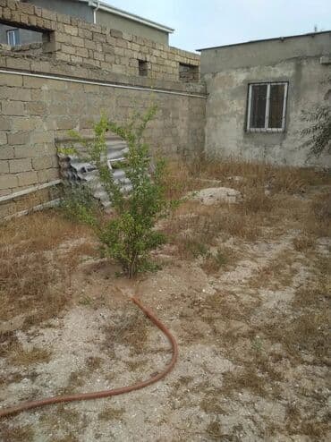 elşən süleymanov küçəsi: 7 sot, Kupça (Çıxarış) — 1