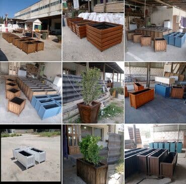 gül dibçəkləri: Dibçək güldanlar.Yaz endirimi Dipçəklər bir başa sexdən.Sex qiymətinə — 8