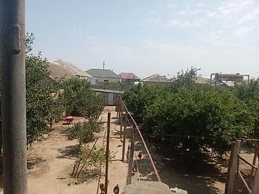studio evler: Salam 2 mərtəbəli 6 otağı 8 sotun içində həyət evi satılır qazi suyu — 7