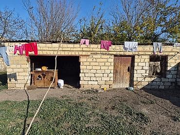 samux rayonu: 14 sot torpaq sahesinin içinde yaşayışlı ev köhnə tikili 2yataq otaq 1 — 7