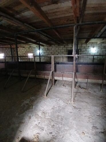 Otaqlar: Ferma təsərrüfatı üçün hazır təsərrüfat sahəsi və tikililər - — 7