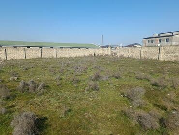 1 sot nece kvadrat metrdir: 20 sot, Tikinti — 4