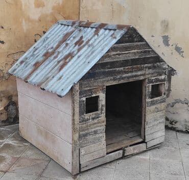 İt yuvası normal veziyyetde. ünvan Merdekan