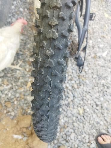 velosiped kameri: Aurus dağ velosipedi - Çərçivə: Aurus alminum problemi yoxdu — 3
