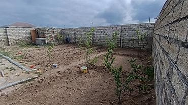 goranboy ticaret merkezi: 1 sot, Tikinti — 1