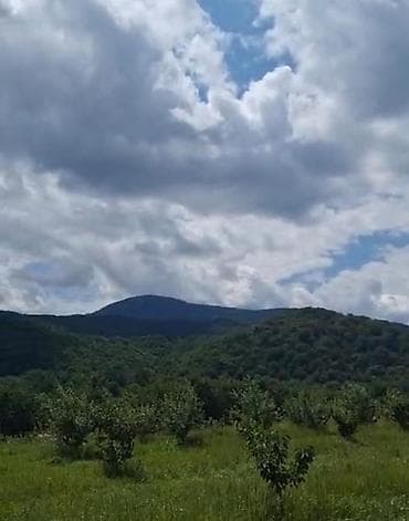 bakıda torpaq: 12 sot, Tikinti, Mülkiyyətçi, Kupça (Çıxarış) — 3