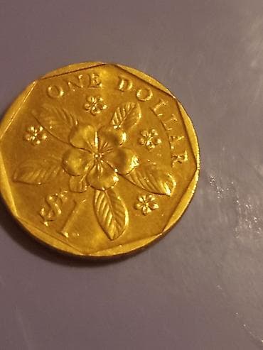 kohnə dollar: 1 2013 il — 2