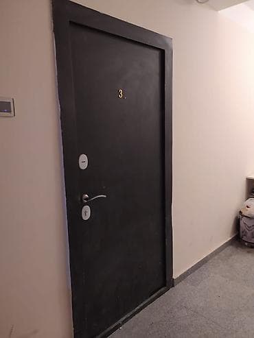 Крепежные изделия: Для квартиры Б/у Входная дверь С глазком, Без гарантии, Самовывоз — 1