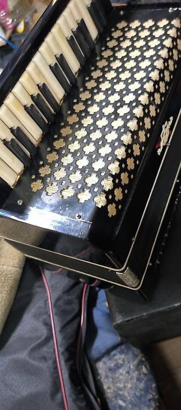 akkardeon: Akustik Akkordeon, Yeni — 5