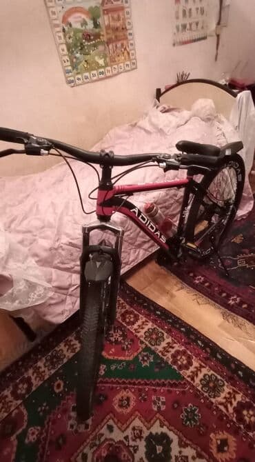 vlasibet: Велосипед, скоростной. Размер 29. Велосипед красного цвета. Куплен — 3