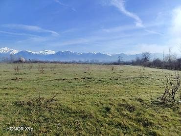 qebele torpaq: 30 sot, Kənd təsərrüfatı, Mülkiyyətçi, Texniki pasport — 2