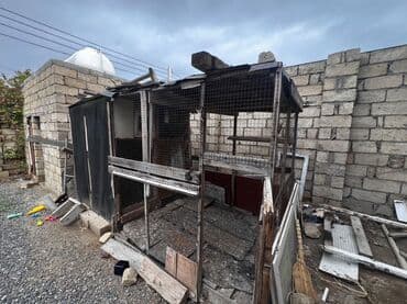 göyərçin yuvaları: Satılır: Taxta konstruksiyalı quşxana/güvercinxana - Material: ağac — 2