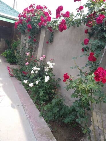 kənd əhmədli həyət evləri: 5 otaqlı, 176 kv. m, Yeni təmirli — 14