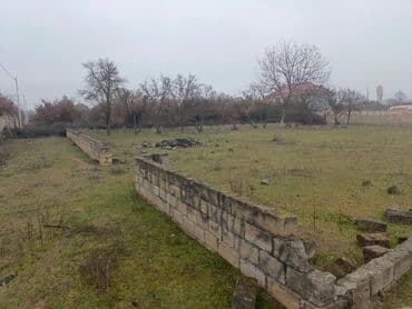 oguz torpaq satilir: 12 sot, Mülkiyyətçi, Bələdiyyə — 2